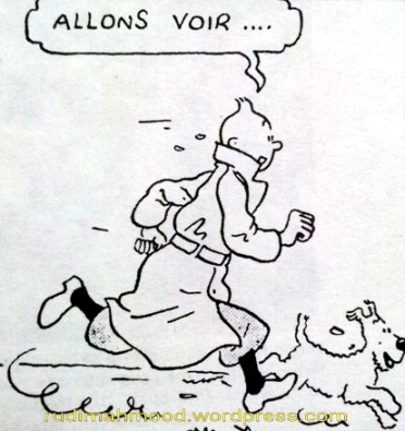 Tintin et L'lle Noire,karya pelukis Belgium, Herge
